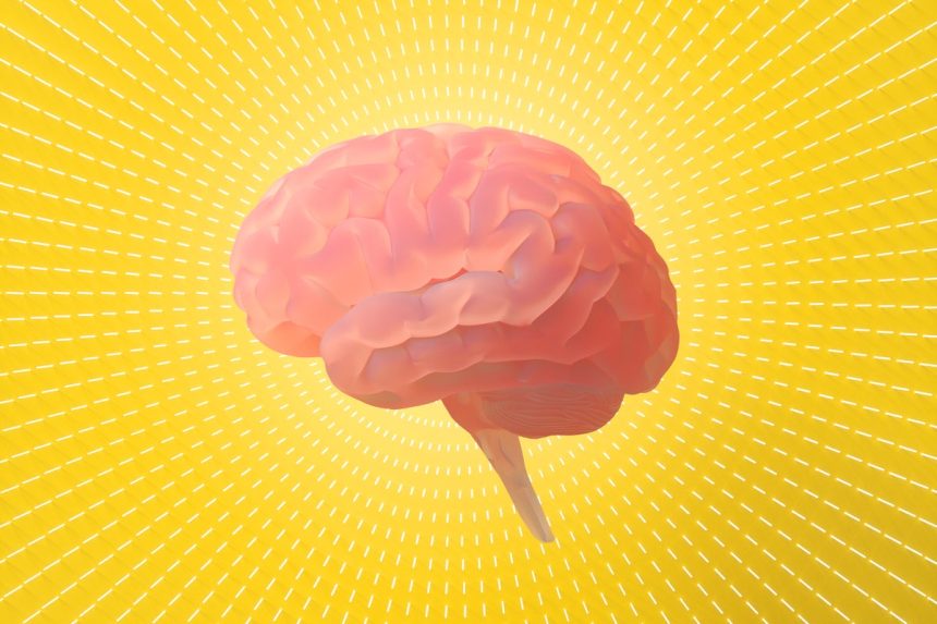 10 Mind-Blowing Brain Discoveries from 2025