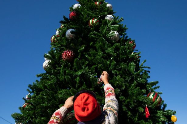 Want to Give a Gift That Counts? Here Are Seven Ways to Donate and Volunteer This Holiday Season