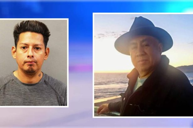 20 years for killing man during phone theft in Albany Park