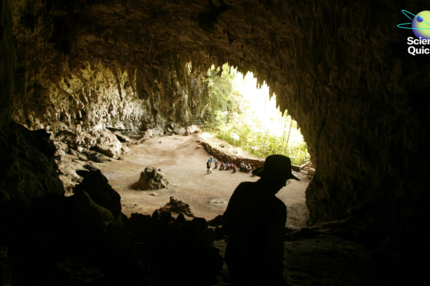 2025 Nears Climate Heat Record, Mpox Variant Discovered, and Hobbit Extinction Explained