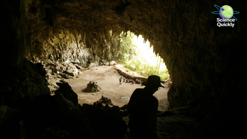 2025 Nears Climate Heat Record, Mpox Variant Discovered, and Hobbit Extinction Explained