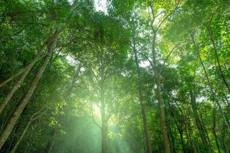 2025 State of the Climate Report: What You Need to Know and What You Can Do