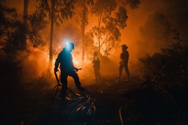 2025 is the second hottest year since records began