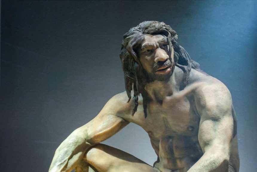 2025 was chock full of exciting discoveries in human evolution