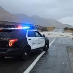 4 Dead Cats Found in Freezer, 17 Animals Saved From ‘Unsanitary’ Home