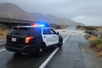 4 Dead Cats Found in Freezer, 17 Animals Saved From ‘Unsanitary’ Home