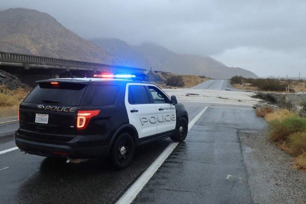 4 Dead Cats Found in Freezer, 17 Animals Saved From ‘Unsanitary’ Home