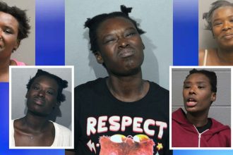 4 victims attacked on CTA, inside Macy’s by woman with long history of random assaults: prosecutors