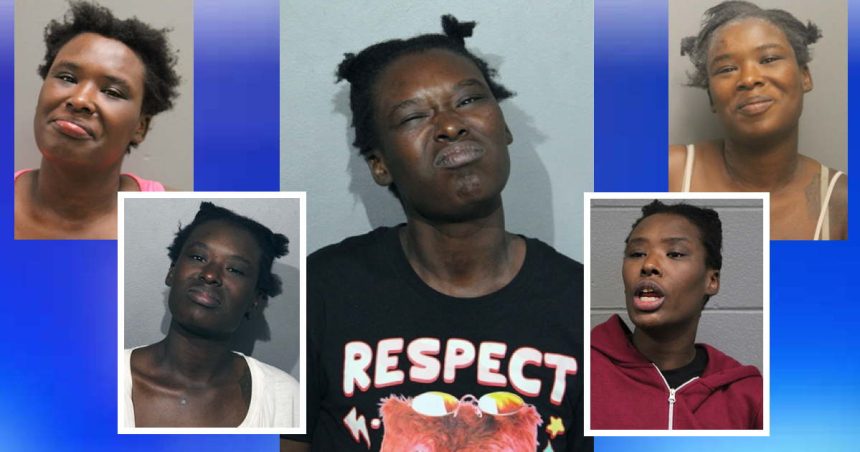 4 victims attacked on CTA, inside Macy’s by woman with long history of random assaults: prosecutors