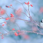 85 Funny January Quotes for a Happy and Hilarious Winter Month