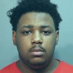 9 years in prison for carjacking Uber Eats driver near Goose Island