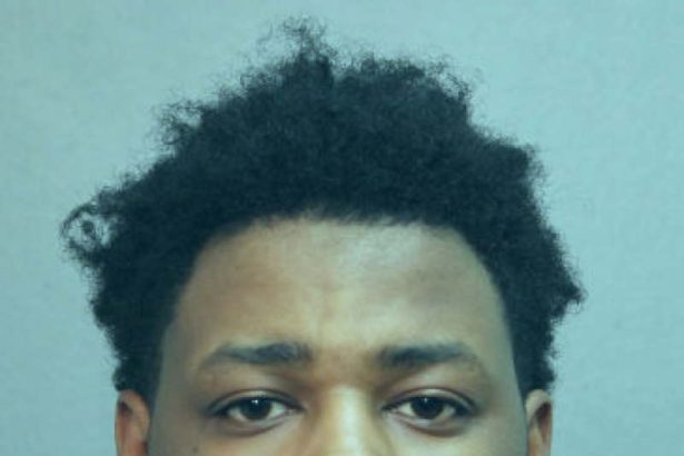 9 years in prison for carjacking Uber Eats driver near Goose Island