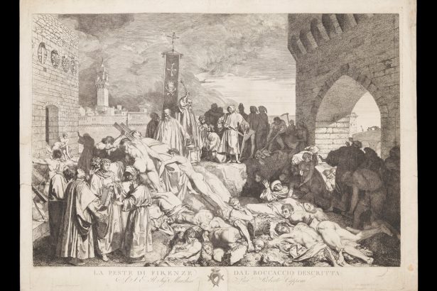 A volcanic eruption might have helped bring the Black Plague to Europe