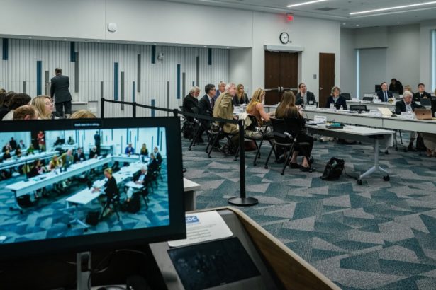 ACIP hepatitis B review: Vaccine experts say they’re being excluded