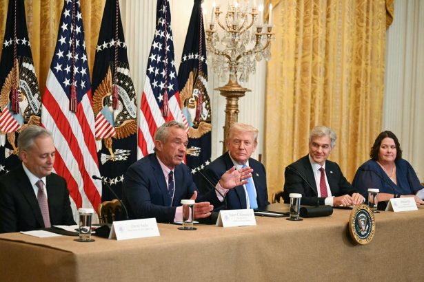 AI To Guide Use Of Prior Authorization In Medicare Through Demo Project