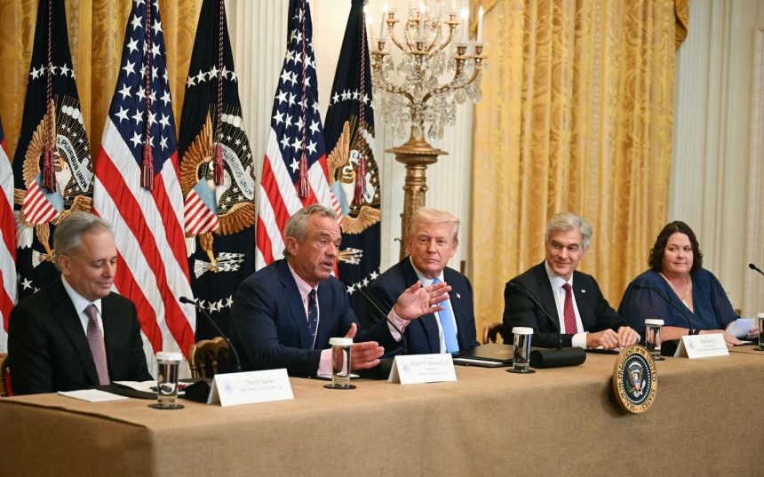 AI To Guide Use Of Prior Authorization In Medicare Through Demo Project