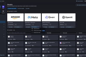 AWS doubles down on custom LLMs with features meant to simplify model creation