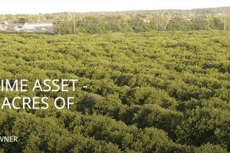 Alico Delivers Top-Down Beat – Quarterly Update Report