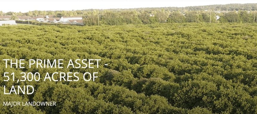 Alico Delivers Top-Down Beat – Quarterly Update Report