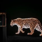 All’s Fair in Art Fairs