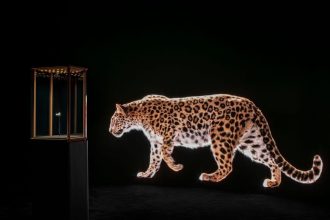 All’s Fair in Art Fairs