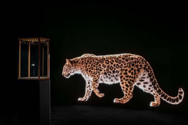 All’s Fair in Art Fairs