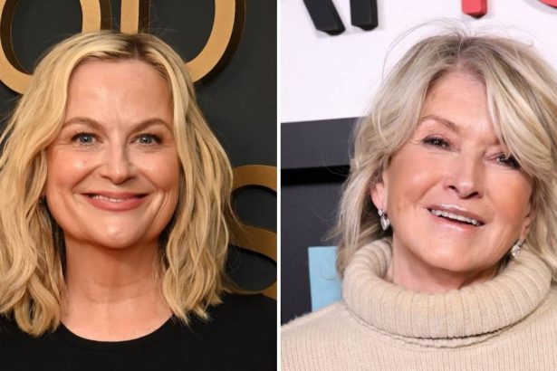 Amy Poehler Explains Why She Won’t Have Martha Stewart On Podcast