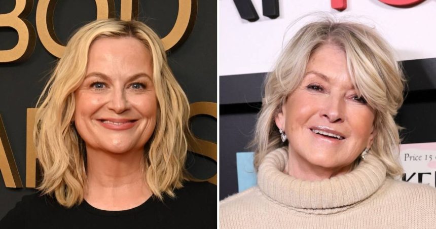 Amy Poehler Explains Why She Won’t Have Martha Stewart On Podcast