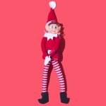 An Anatomy Professor Explains The Bizarre Biology of Elves : ScienceAlert