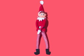 An Anatomy Professor Explains The Bizarre Biology of Elves : ScienceAlert