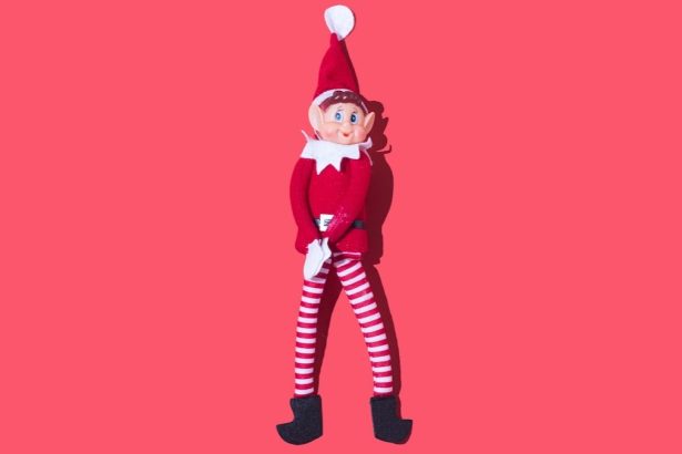 An Anatomy Professor Explains The Bizarre Biology of Elves : ScienceAlert