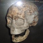 Ancient southern Africans took genetic evolution in a new direction