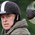 Andrew Windsor Wants ‘Misery’ to End Amid Epstein Scandal