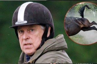 Andrew Windsor Wants ‘Misery’ to End Amid Epstein Scandal