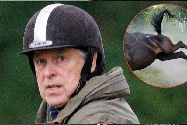 Andrew Windsor Wants ‘Misery’ to End Amid Epstein Scandal