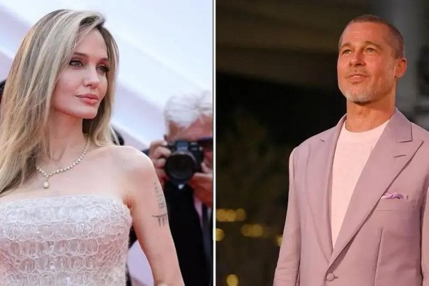 Angelina Jolie ‘Drawing on Agony of Brad Pitt Divorce’ for New Role