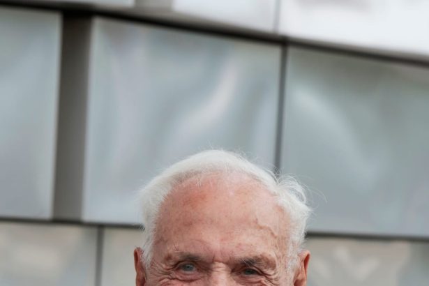 Architect Frank Gehry, Who Turned Buildings Into Sculptures, Dies at 96