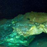 Bizarre Ecosystem Discovered More Than Two Miles beneath Arctic Ocean