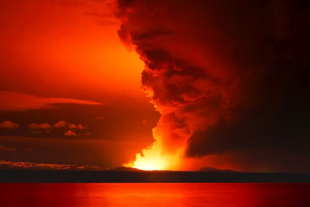 Black Death’s Carnage Traced to a Volcanic Eruption Half a World Away : ScienceAlert