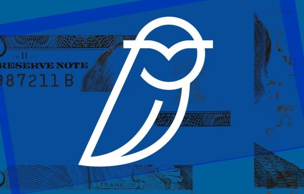 Blue Owl executives and staff bought 0mn in shares after sell-off