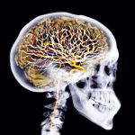 Boosting the glymphatic system: What to do to help detox your brain