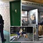 Boy, 15, shot in the head, critically hurt in lobby of NYC public housing building: cops