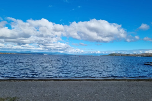 Boy had to swim for life as police delay rescue