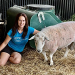 Bravery and 00 reward brings back Bo after ram raid