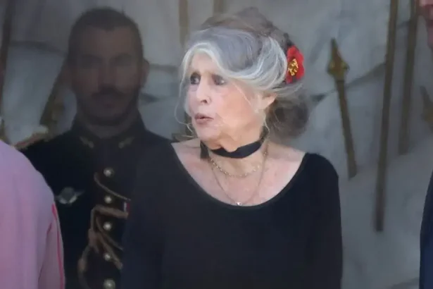 Brigitte Bardot Death Hoax Controversy Exposed After Her Passing