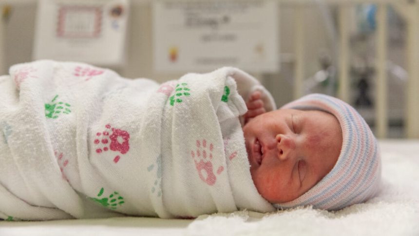 CDC vaccine panel poised to recommend changing hepatitis B birth-dose