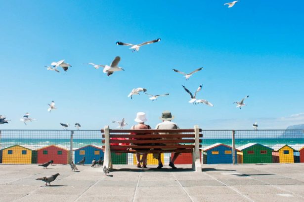 Can viral relationship tests like the bird test really tell you about your relationship?