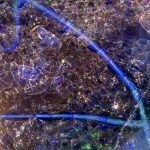 Can you work out what these enigmatic close-up photos are of?