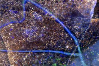 Can you work out what these enigmatic close-up photos are of?