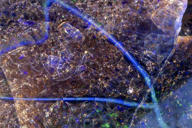 Can you work out what these enigmatic close-up photos are of?